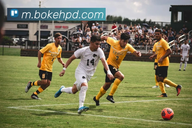 扫码下载 App